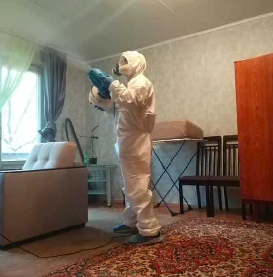 дезинсекция квартиры в Вязьме